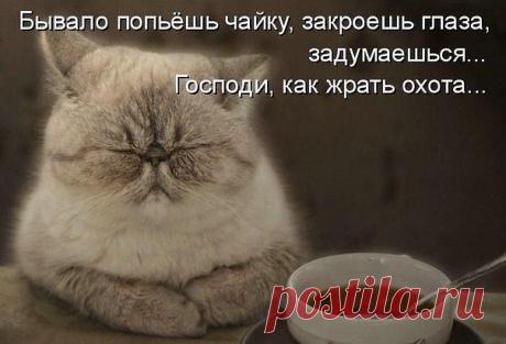 (44) Одноклассники