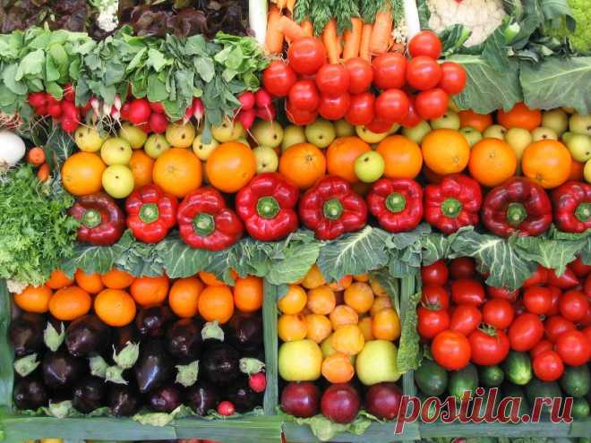 «HAPPY GREEN BRUNCH» в Праге | Чехия: туризм жизнь недвижимость иммиграция
