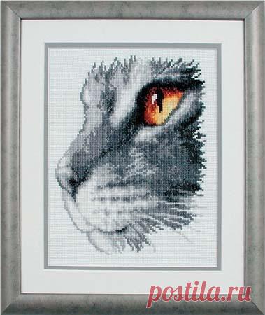 Кот / Схемы вышивки крестиком / PassionForum - мастер-классы по рукоделию