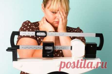 Диеты с низким содержанием жира не более эффективны, чем прочие | Образовательная программа: компендиум здоровья.