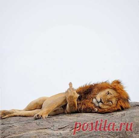 Подборка прикольных картинок и фотографий-245