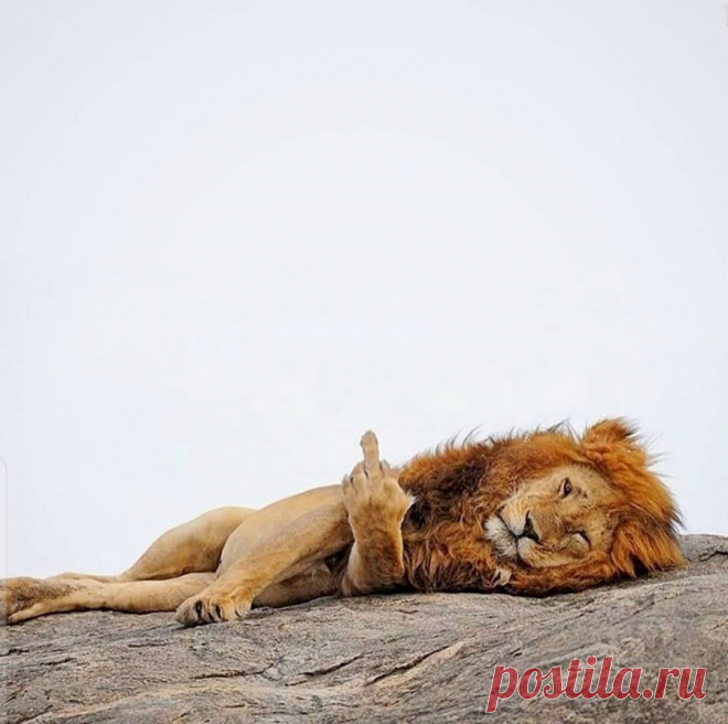 Подборка прикольных картинок и фотографий-245