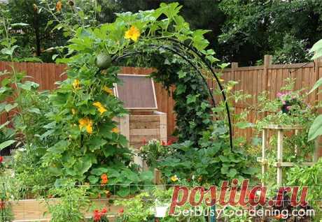 Vertical Vegetable Garden Ideas | Smart Money Simple Life