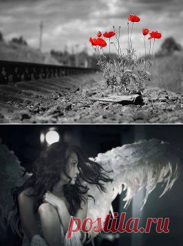 Тише, тише… Не судите, это грех… Вы порадуйтесь душою за успех… Вы поплачьте над чужою — над бедой… Сострадание — ручей с живой водой…  Тише, тише… Не ругайте сгоряча… Чья-то жизнь, возможно, гаснет как свеча… Не задуйте кривотолком тот огонь… Поддержите,