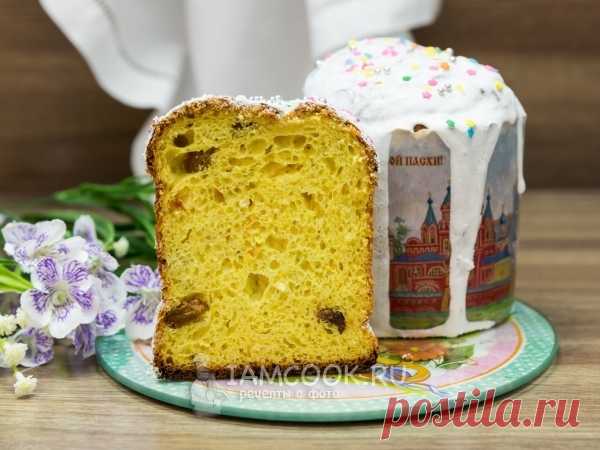 Творожный кулич на сухих дрожжах