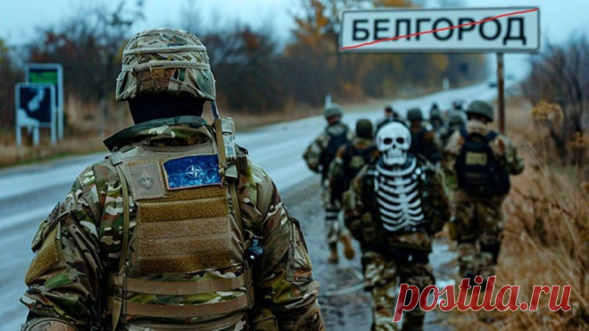 О вторжении ВСУ в Белгород и ударном кулаке у Брянска. Депутат обратился к властям - скажите людям правду | Царьград | Дзен