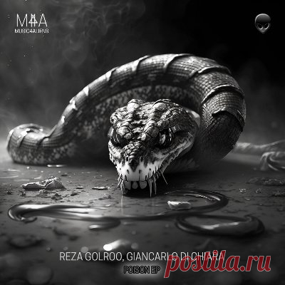 Reza Golroo, Giancarlo Di Chiara – Poison EP - FLAC Music