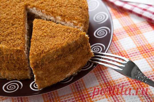Самый вкусный медовик: рецепты от «Едим Дома»