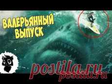прапорщиков олег: чудеса подводного мира | Постила.ru