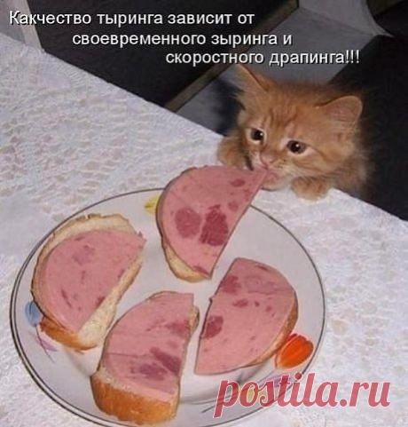 Новости