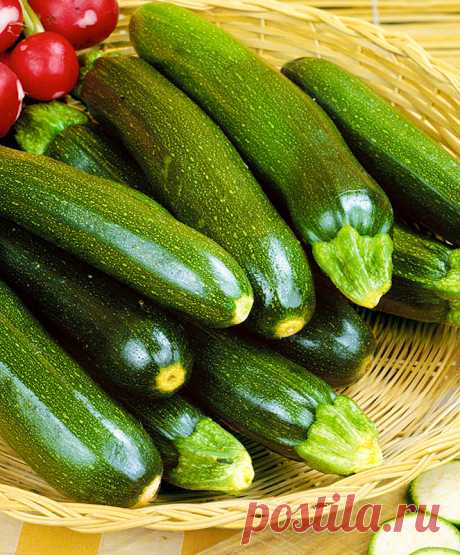 СМОТРИТЕ: Кабачки сейчас — палочка-выручалочка. А ведь это овощ красоты — едим и хорошеем