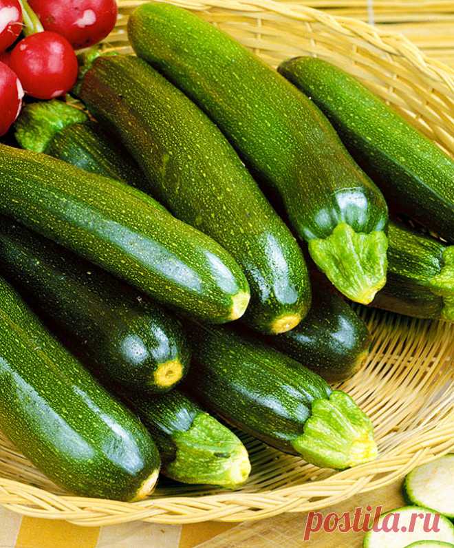 СМОТРИТЕ: Кабачки сейчас — палочка-выручалочка. А ведь это овощ красоты — едим и хорошеем