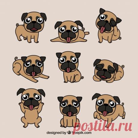Прекрасное разнообразие счастливых мопсов Более миллиона свободных векторов, PSD, фотографии и бесплатные иконки. Эксклюзивные халявы и все графические ресурсы, которые необходимые для ваших проектов