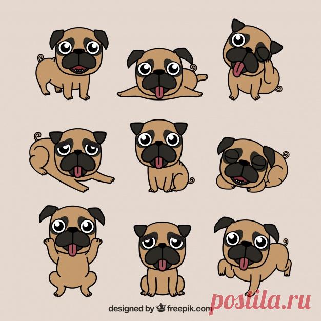 Прекрасное разнообразие счастливых мопсов Более миллиона свободных векторов, PSD, фотографии и бесплатные иконки. Эксклюзивные халявы и все графические ресурсы, которые необходимые для ваших проектов