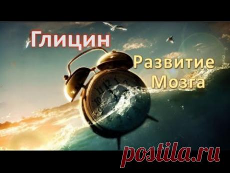 Глицин, Развитие мозга!