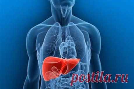 Что делать, если увеличена печень? / Будьте здоровы