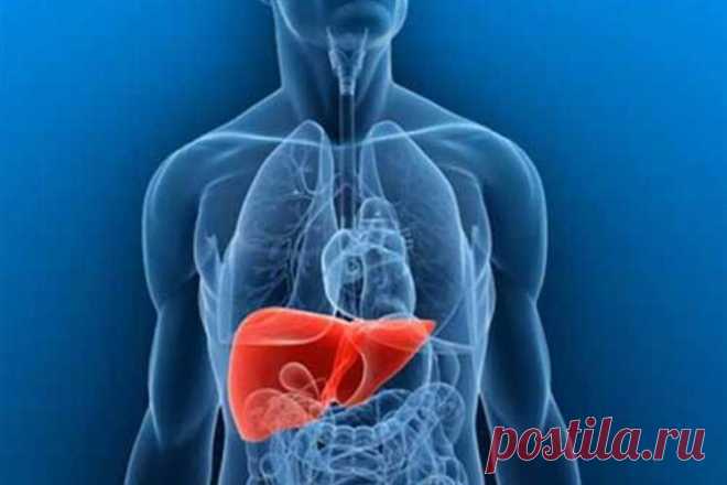 Что делать, если увеличена печень? / Будьте здоровы