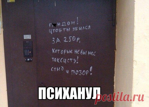 Фразы дня. Лайкаем, не стесняемся! / Писец - приколы интернета