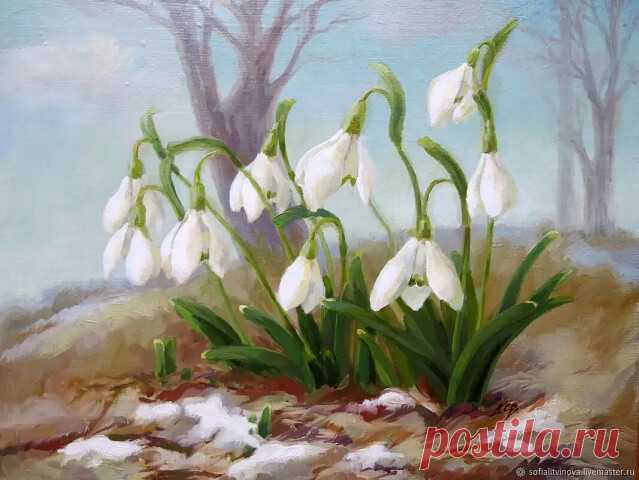 ༺🌸༻Уступи мне, скворец, уголок
Уступи мне, скворец, уголок,
Посели меня в старом скворешнике.
Отдаю тебе душу в залог
За твои голубые подснежники.
И свистит и бормочет весна.
По колено затоплены тополи.
Пробуждаются клены от сна,
Чтоб, как бабочки, листья захлопали.
И такой на полях кавардак,
И такая ручьев околесица,
Что попробуй, покинув чердак,
Сломя голову в рощу не броситься!
Начинай серенаду, скворец!
Сквозь литавры и бубны истории
Ты — наш первый весенний певец
Из ...