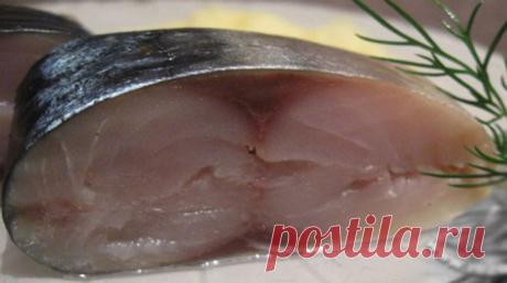 Рыба соленая под лососину - ПУТЕШЕСТВУЙ ПО САЙТУ. Рыба соленая под лососину для этого вида засолки, в принципе, подойдет любая не мелкая рыба (щука, толстолоб, пелингас, язь, карп), и получится вкуснейшая рыба похожая на лососевую. Ведь не каждый может себе позволить купить это дорогостоящую рыбу, поэтому предлагаю вам сэкономить, и полакомиться не менее вкусной и питательной рыбкой. Ингредиенты: …