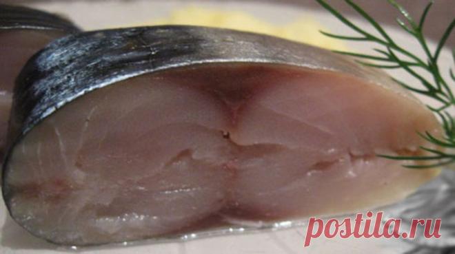 Рыба соленая под лососину - ПУТЕШЕСТВУЙ ПО САЙТУ. Рыба соленая под лососину для этого вида засолки, в принципе, подойдет любая не мелкая рыба (щука, толстолоб, пелингас, язь, карп), и получится вкуснейшая рыба похожая на лососевую. Ведь не каждый может себе позволить купить это дорогостоящую рыбу, поэтому предлагаю вам сэкономить, и полакомиться не менее вкусной и питательной рыбкой. Ингредиенты: …
