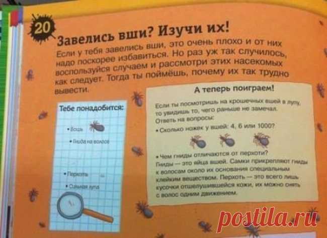 20 ляпов из школьных учебников. Хоть стой, хоть падай