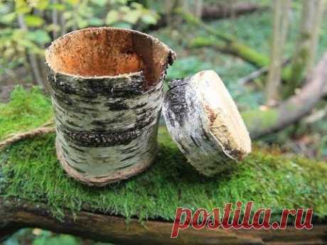 Simple Birch Bark container - Коробочка из бересты быстро) - YouTube