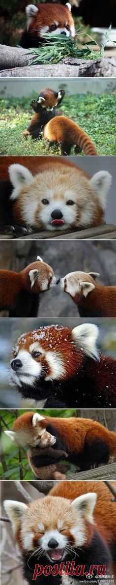 Pinterest • Всемирный каталог идей
