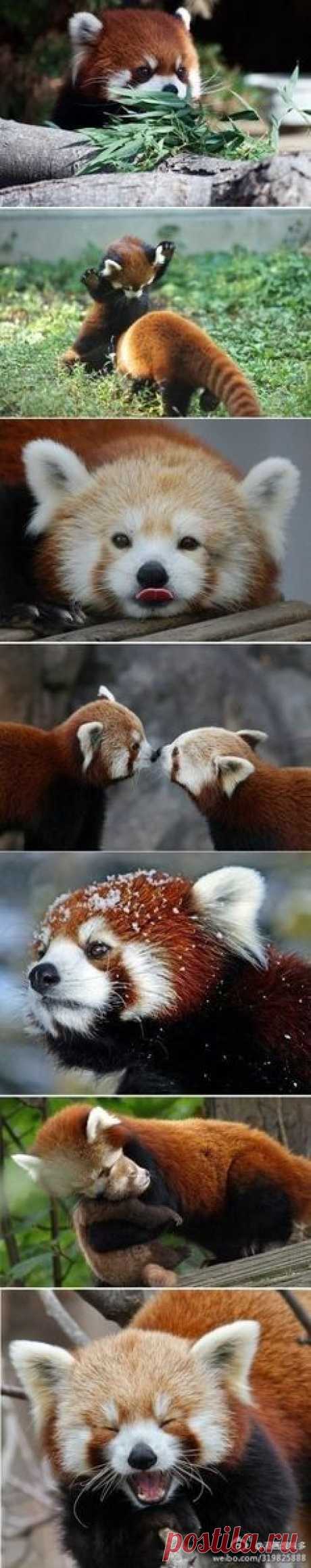 Pinterest • Всемирный каталог идей