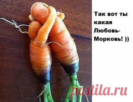 Мой Мир@Mail.Ru