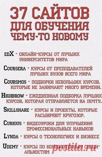 Алёна Воронкова