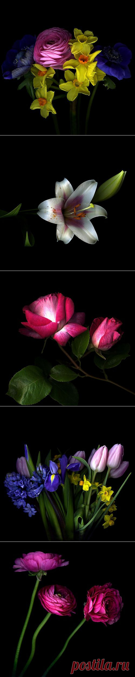 Photographer Magda Indigo