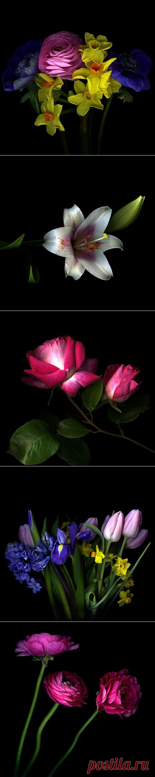 Photographer Magda Indigo