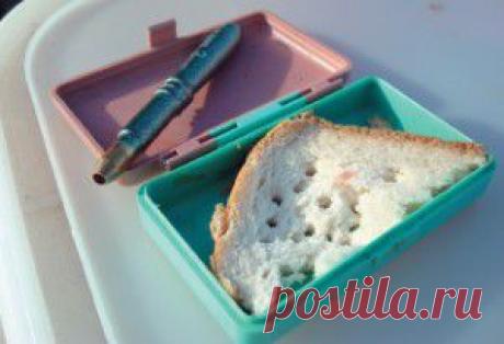 Ловля на хлеб