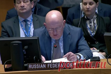 США обвинили в препятствовании остановке насилия в Газе. Постпред России при ООН Василий Небензя обвинил США в том, что их позиция препятствует принятию Совбезом организации резолюций, целью которых является остановка насилия в секторе Газа. Он отметил, что таким образом Израиль получил карт-бланш на дальнейшее наказание палестинцев.