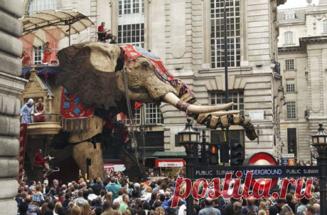 Гиганты «Royal de Luxe» — великие марионетки из Ливерпуля. - Кладовая инета - Страна Мам