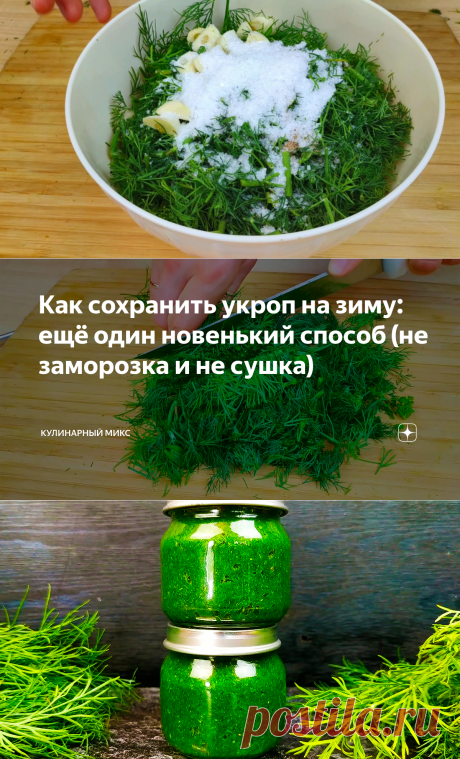 Как сохранить укроп на зиму: ещё один новенький способ (не заморозка и не сушка) | Кулинарный Микс | Яндекс Дзен