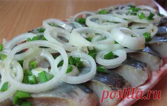 Маринованная сельдь, скумбрия