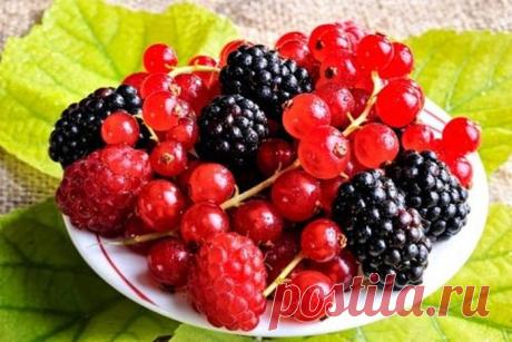 Как продлить свою жизнь / Все для женщины