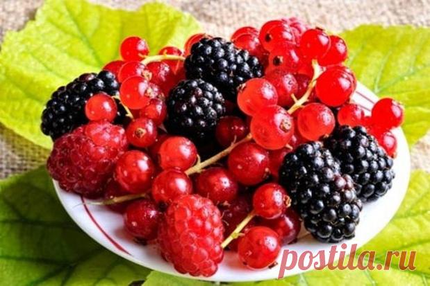 Как продлить свою жизнь / Все для женщины