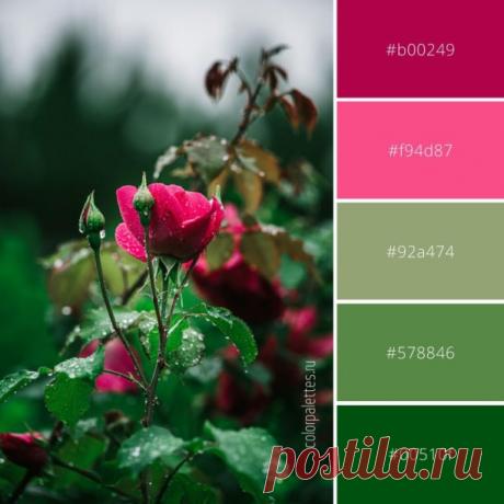 Идеальное сочетание природных оттенков

Розовые и зеленые оттенки от прекрасной розы. Посмотреть варианты палитры и вдохновиться другими палитрами можно на сайте.

#цвет #натуральный #палитрарассветгоры #природныецвета #сочетанияцветов #цветоваяпалитра #color #natural #naturalcolors #colorcombinations #colorpalette #HEXcolor