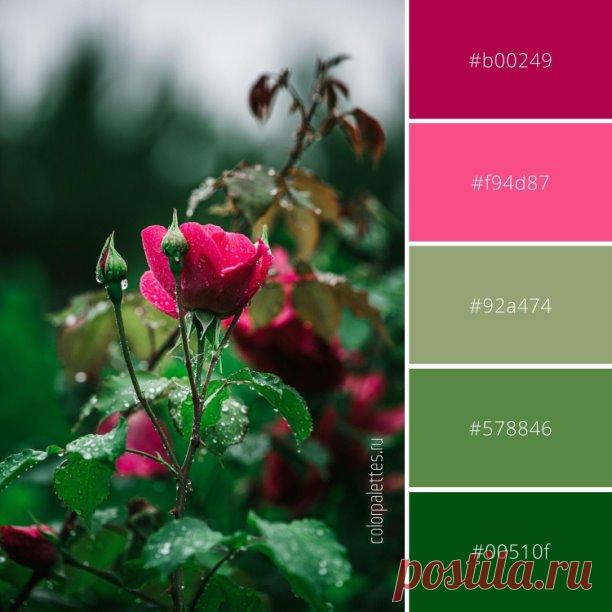 Идеальное сочетание природных оттенков

Розовые и зеленые оттенки от прекрасной розы. Посмотреть варианты палитры и вдохновиться другими палитрами можно на сайте.

#цвет #натуральный #палитрарассветгоры #природныецвета #сочетанияцветов #цветоваяпалитра #color #natural #naturalcolors #colorcombinations #colorpalette #HEXcolor