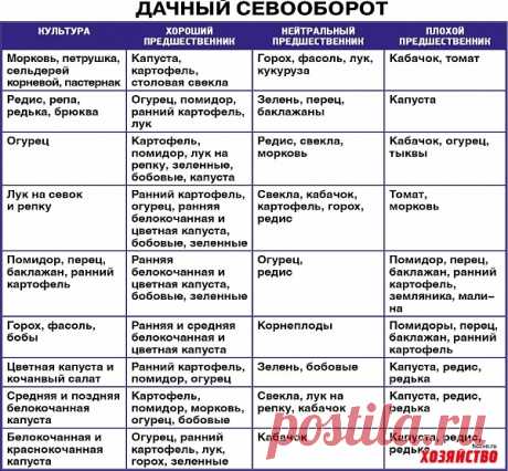 Имея эту таблицу, я знаю когда и куда сажать овощи
