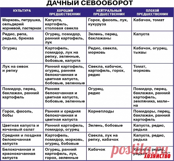 Имея эту таблицу, я знаю когда и куда сажать овощи