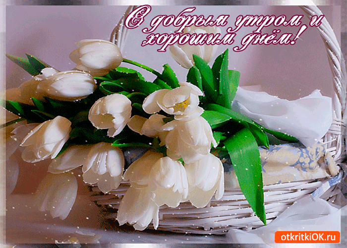 С добрым утром и хорошим днём - Бесплатные Открыки на otkritkiok.ru