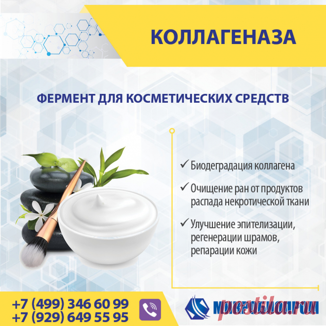 Коллагеназа - фермент расщепляет коллаген с выделением свободной аминокислоты оксипролина. Важным свойством коллагеназы является ее способность к биодеградации основного белка межклеточного матрикса - коллагена. Фермент может расщеплять почти все типы коллагенов и способен разрушить не только пептидную цепь белка, но и многочисленные связи внутри тройных спиралей молекул. Коллагеназа применяется в различных областях, где необходимо расщеплять коллагеновые волокна: биомедицине, дерматологии.