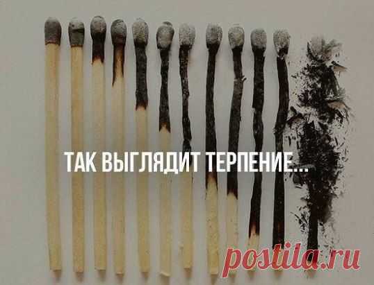 Внутри каждого из нас есть волк, который воет, то отчаянно громко, то оглушительно тихо. Это и называется душой.