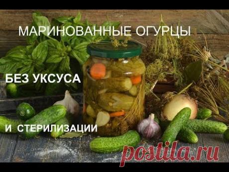 МАРИНОВАННЫЕ ОГУРЦЫ БЕЗ УКСУСА И СТЕРИЛИЗАЦИИ.