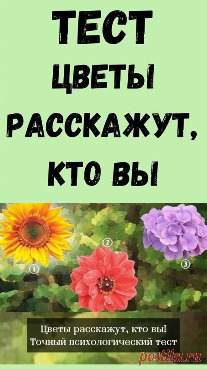 Этот короткий онлайн — тест на удивление точно покажет интересные детали вашей личности и жизни. Просто выберите один из цветов на этом изображении, чтобы узнать что-то новое о себе.