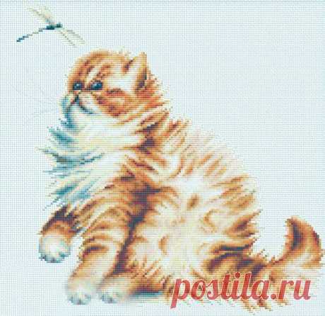 Вышивка &quot;Kitten with a dragonfly&quot; | Скачать схему бесплатно на сайте Stitchart.net